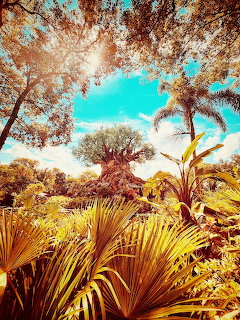 Tree of Life Tropical Scene