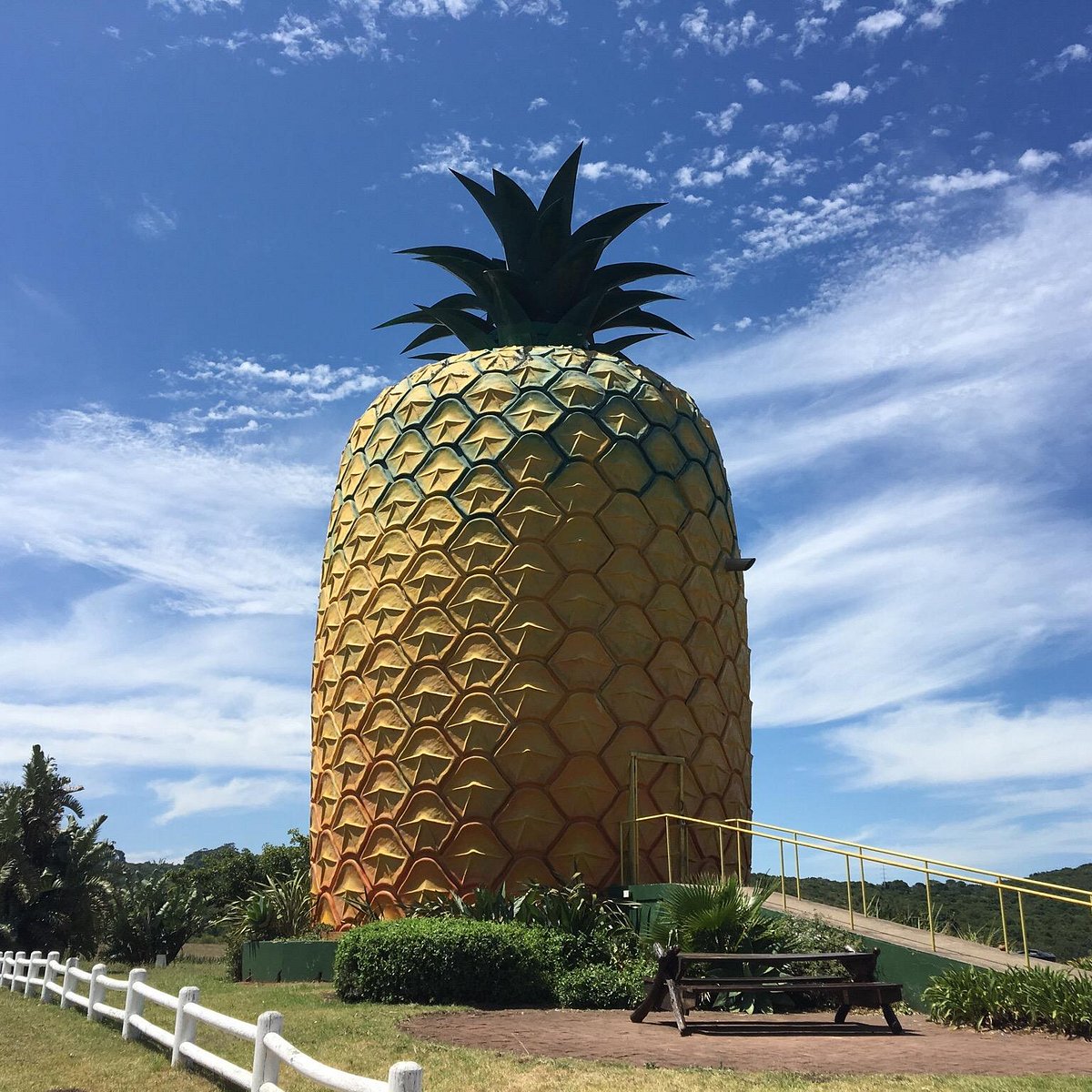 Big Pineapple Landmark