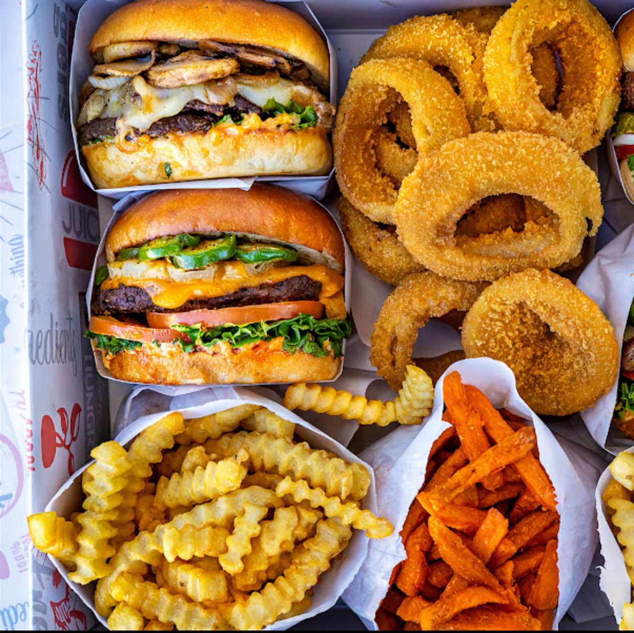 American Fast Food Burgers and Fries