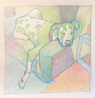Colored pencil drawing of a white dog lounging in an armchair