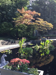 Garden pond with water plants, a small statue, and tree reflections