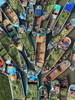 Aerial view of many colorful boats packed with green watermelons on a river