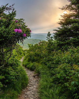 Mountain hiking trail winding through green foliage toward distant blue ridges at golden hour