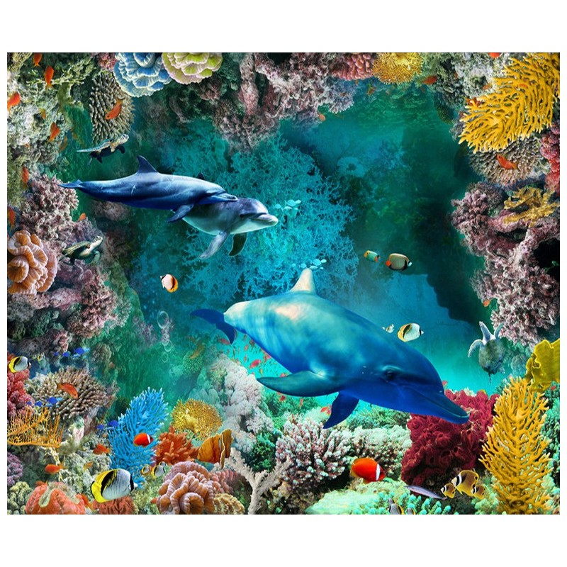 Two dolphins swimming in a colorful coral reef with tropical fish underwater