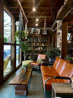 Cozy coffee house interior with leather couches, hanging plants, wooden shelves, and large windows