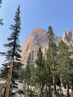 Tall granite cliff behind evergreen pine and fir trees against blue sky