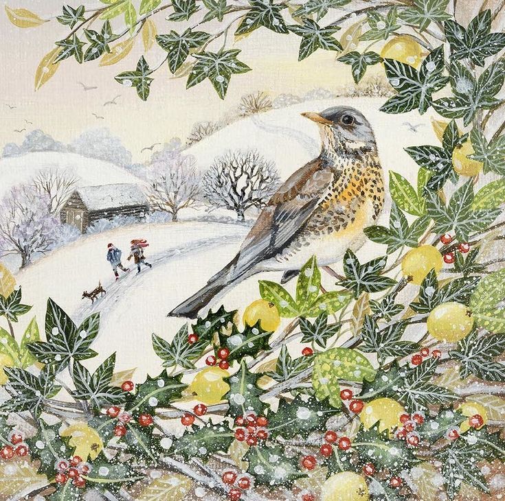 Illustration of a thrush on winter foliage with snow-covered cottage and trees behind