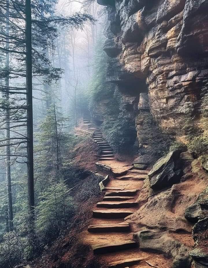 Stone path through a misty cliff-lined ravine with bare trees at Hocking Hills State Park