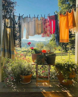 Colorful laundry drying on clotheslines in a sunny garden with potted flowers and plants