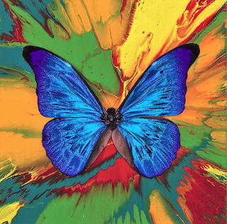 Blue Butterfly Colorful Splash