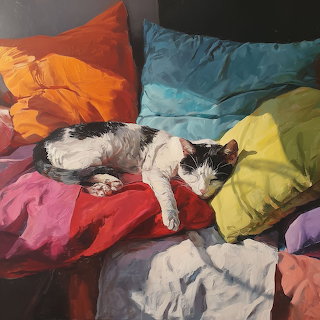 Cat Sleeping on Colorful Pillows