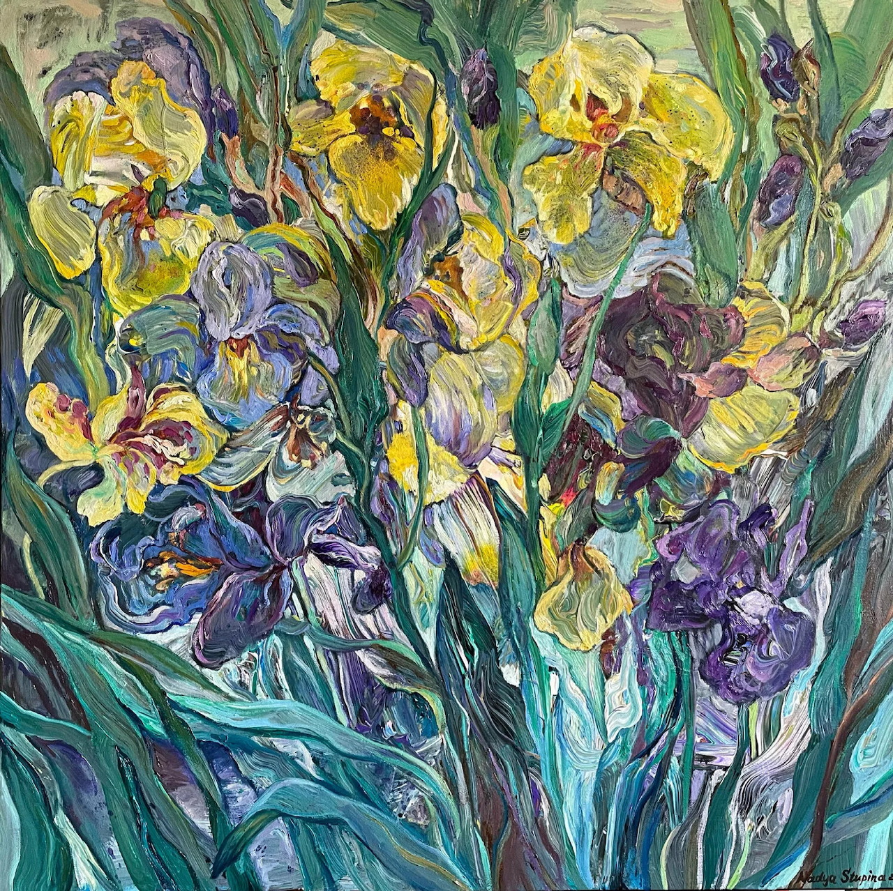 Yellow and Purple Irises