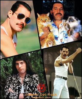 Collage of four photos of Freddie Mercury with sunglasses, cats, and performing live
