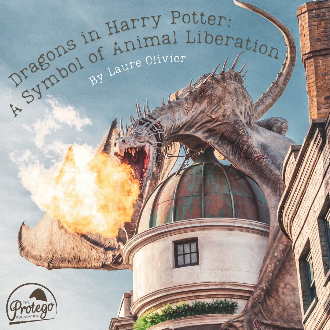 Dragon on a domed rooftop breathing fire beside city buildings under a cloudy sky