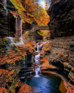 Watkins Glen State Park