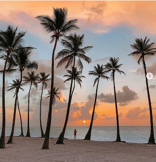 Palm trees on a sandy beach at sunset with calm ocean and a lone person by the shore