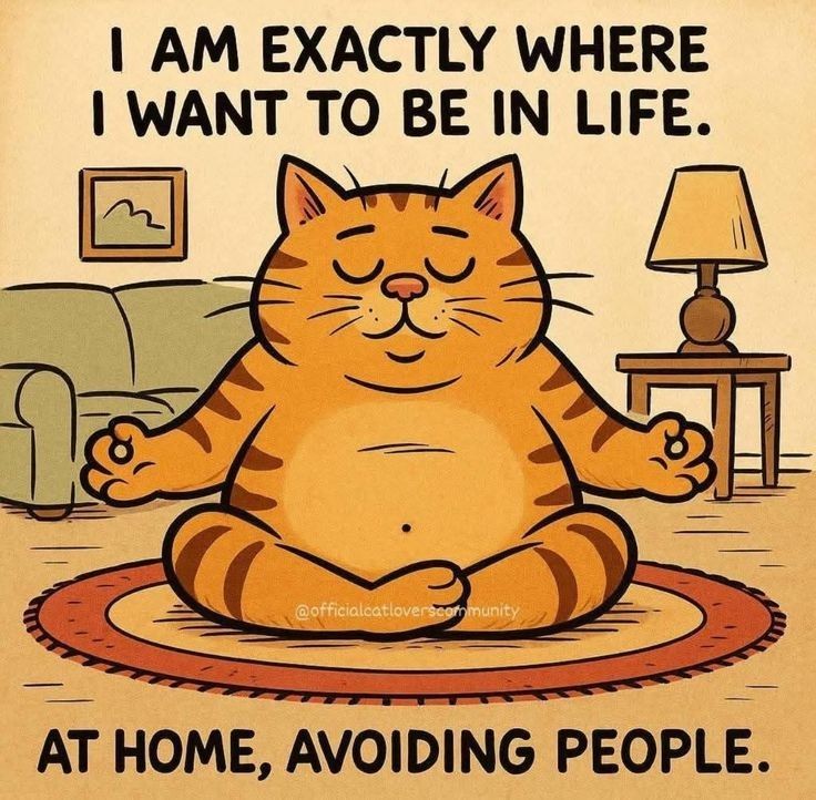Cartoon orange cat meditating on rug in living room with lamp and picture frame