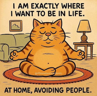 Meditating Cat at Home