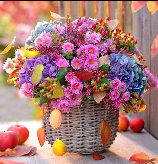 Colorful flower basket with purple, pink, orange blooms, apples and autumn leaves on rustic wooden background