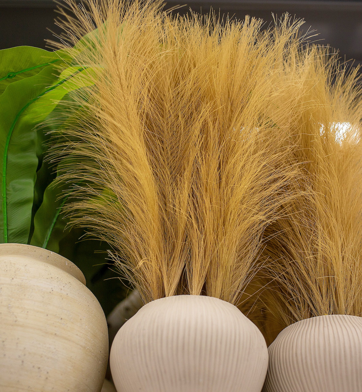 Dried grass stems in white ribbed vases with a green leaf behind them