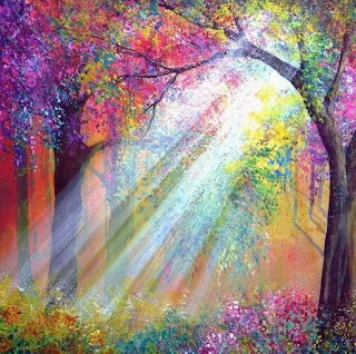 Rays of Light