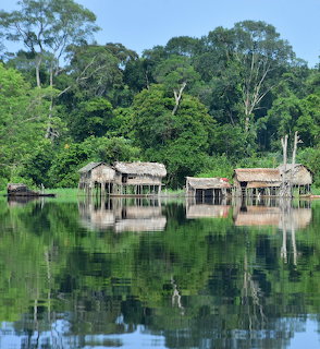 Thatched stilt houses on stilts over a calm lake surrounded by dense tropical forest with reflections