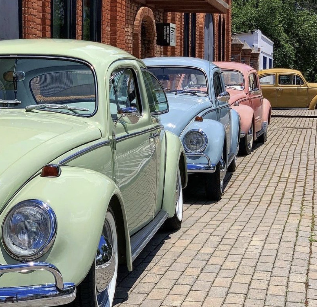 Pastel-colored vintage VW Beetles lined up on brick pavement near brick buildings