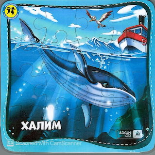 Blue Whale Illustration