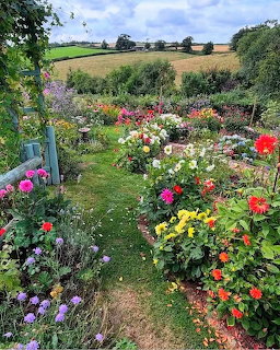 Colorful flower garden with rows of blooms leading to green countryside fields under blue sky