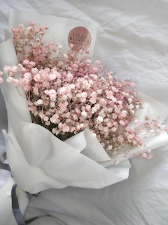 Bouquet of pink baby's breath flowers wrapped in white tissue paper