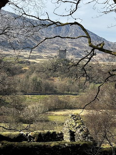 Ruined stone castle in valley framed by bare tree branches with mountains in background