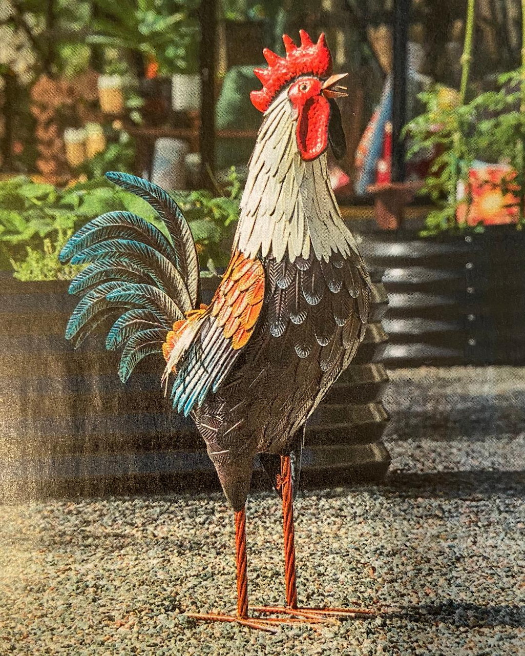 Colorful painted metal rooster garden statue with teal, orange, and red feathers on a patio