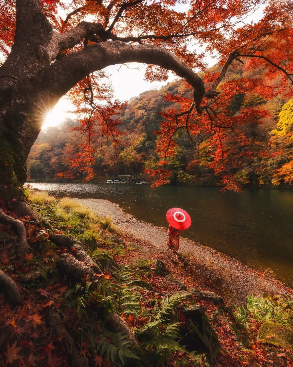 Scenic view representing travel in Japan