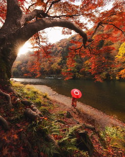 Japan Travel Scene