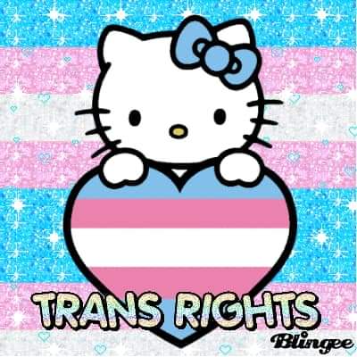 Hello Kitty Trans Rights