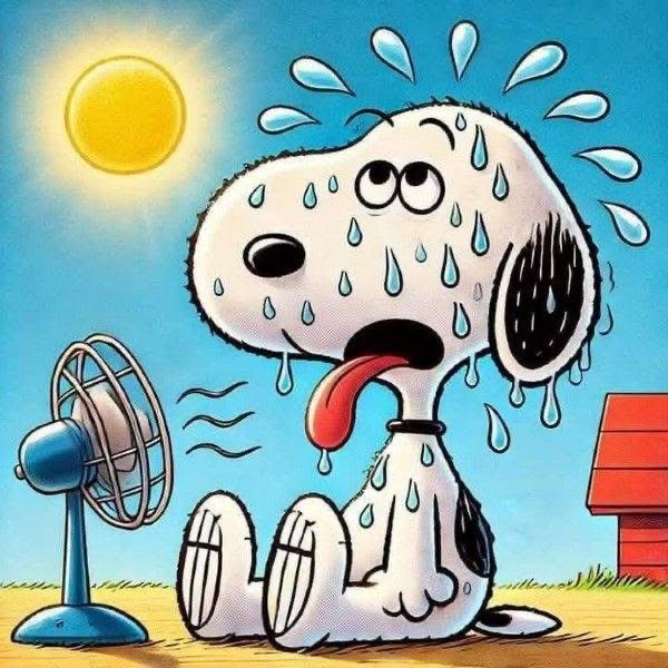 Snoopy cartoon character sweating heavily while sitting in front of an electric fan on a hot sunny day