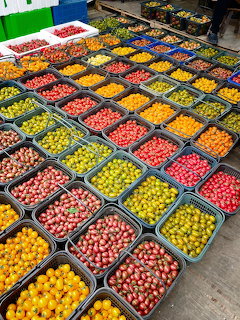 Rows of colorful tomatoes in various hues displayed in black plastic crates at a market
