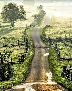 Wet country road winding through green farm fields with wooden fences and trees under soft morning light
