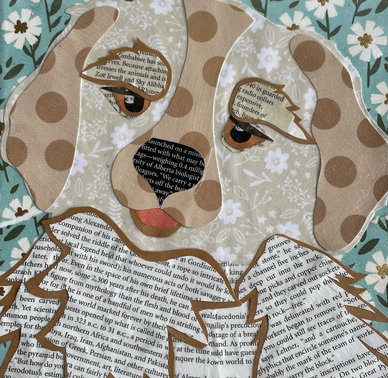Mixed media collage of a dog's face created with newspaper, brown paper circles, and floral patterns