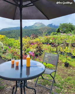 Patio table with drinks under an umbrella overlooking a flower garden and green mountains