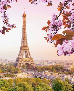 Eiffel Tower in Paris framed by pink cherry blossoms at sunset