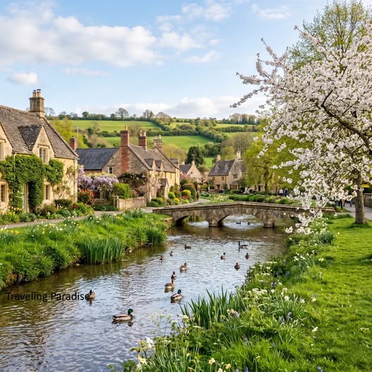 Stone bridge over a river in Bourton-on-the-Water with cottages, ducks, and a blooming tree