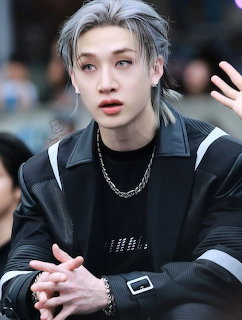 Bang Chan Stray Kids