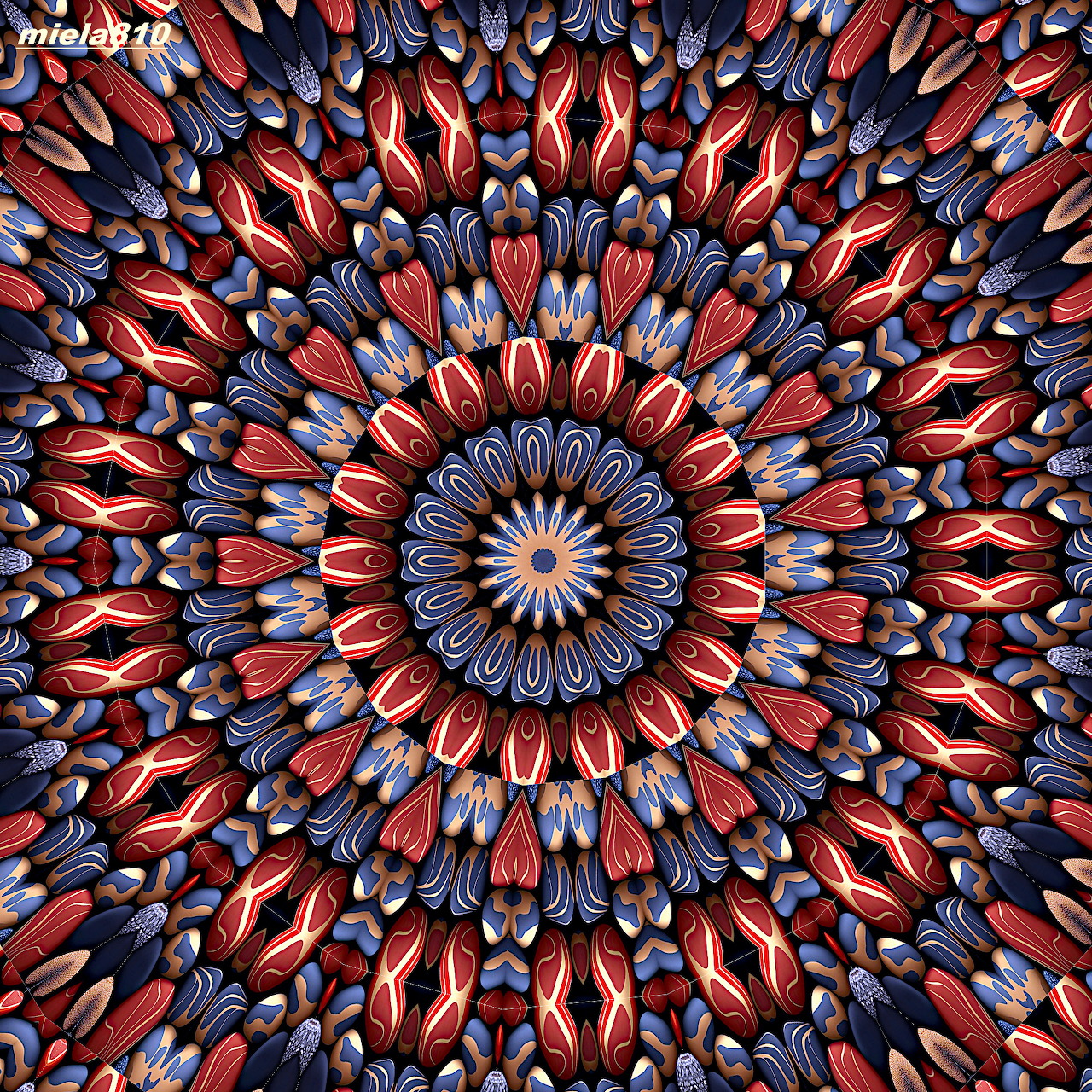 Symmetrical mandala with blue, orange, and red geometric patterns radiating from a white and blue flower center
