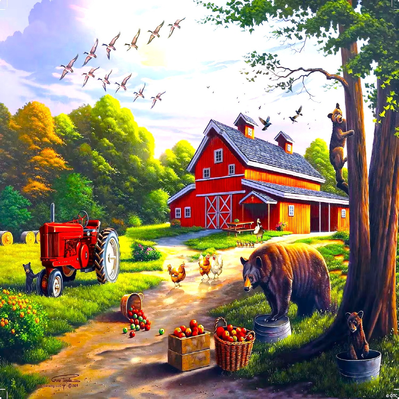 Bear family picking apples near red barn with tractor and chickens on sunny farm