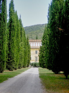 Driveway lined with tall cypress trees leading to a villa with hills in background