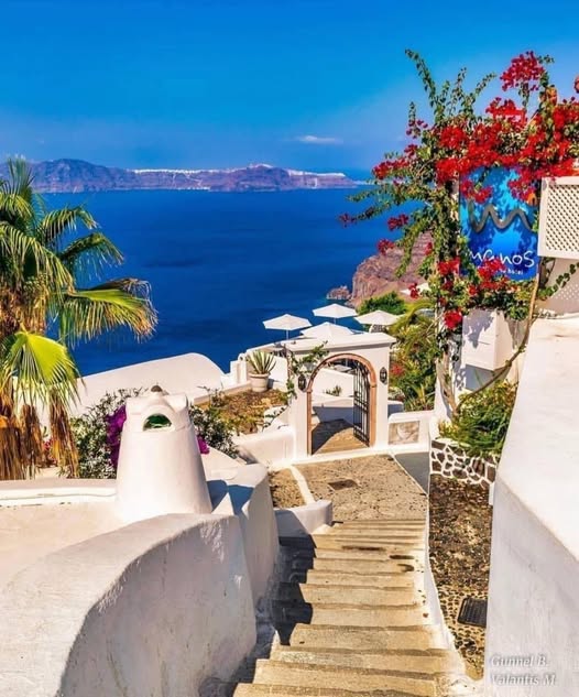 White stone stairs leading to blue sea with palm trees and red flowers in Greek island setting