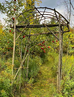 Rustic wooden garden arbor with red aples hanging overhead and overgrown path leading through green foliage