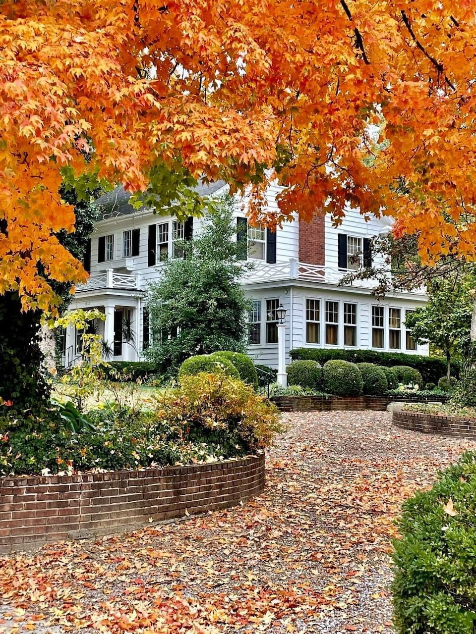 White colonial house framed by brilliant orange autumn trees with fallen leaves on brick pathway