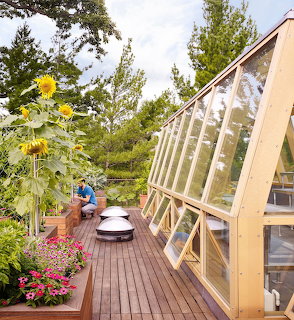 Rooftop deck garden with greenhouse, sunflowers, and colorful flowers